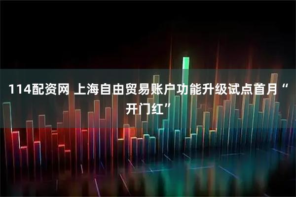 114配资网 上海自由贸易账户功能升级试点首月“开门红”