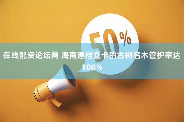 在线配资论坛网 海南建档立卡的古树名木管护率达100%